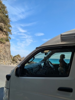 �c������̊C