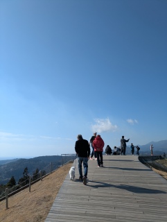 ���߂Ă̏����R