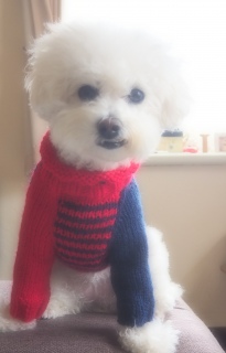 ���O�����Z�[�^�[�ł����`