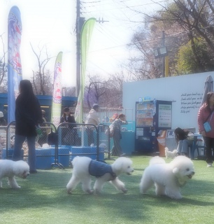 ���F�B��