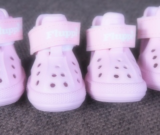 �C�x���g�ŌC�����Ă�����