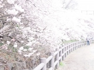 �t�߂������J�`������