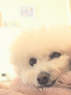 �g���~���O�I������您��ꂿ���