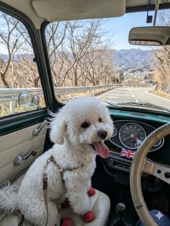 ���������ꏏ�ɓ��j���͂���Q��ɁB