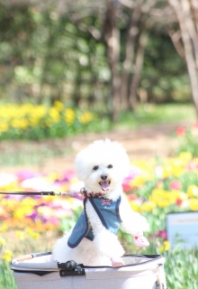 ����͔������1��������Ԃ������̂Ń`���[���b�v����