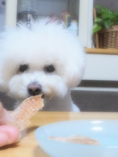 �����݃W���[�L�[���肪�Ƃ�💕