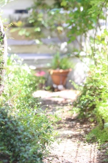 �K�[�f��💕�G���Q�������Q�����ς�