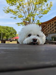 lunch�̓I�J�J�t�F��