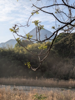 tomoegawapark���炨�͂悤