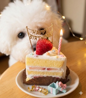 �݁[�o���񂩂�BD🎁�@���肪�Ƃ�