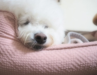 �g���~���O�I���@����ꂿ���