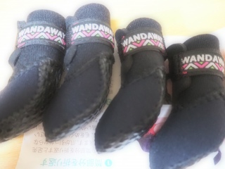 �����ۃt�F�X��WANDAWAY�C�@�@