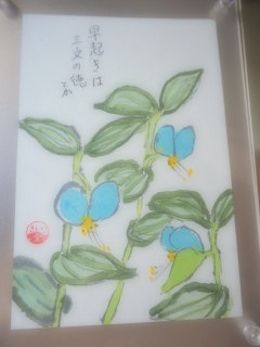 �G�莆���肪�Ƃ�💕