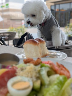 �����̌��lunch�@�������������`