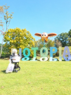 ���N�͉J��CAMP�͂�߂�����